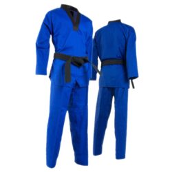 Taekwondo